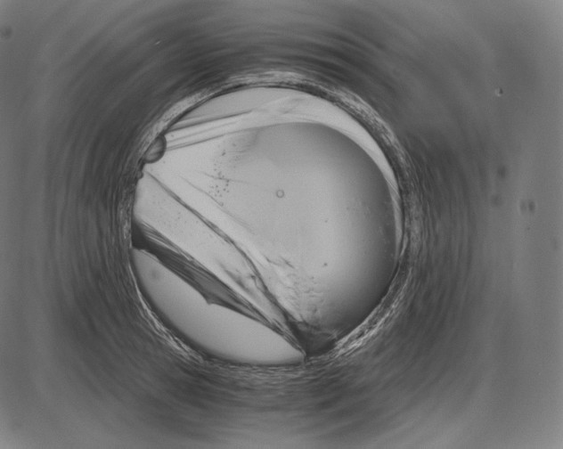 X0000084010945200703161710