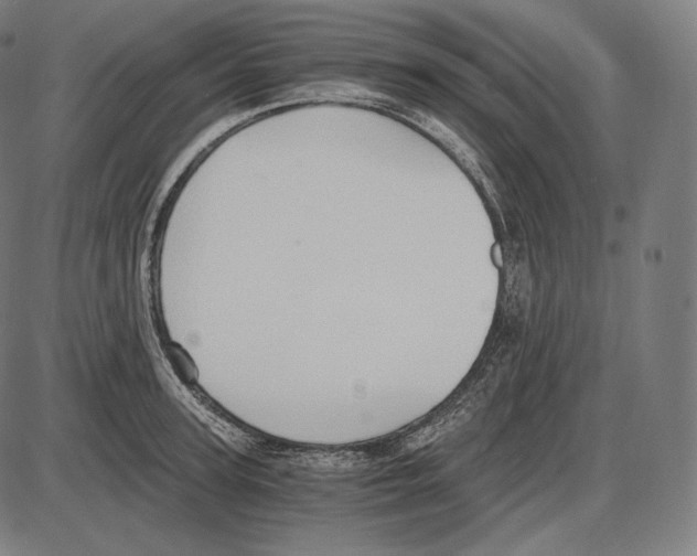 X0000084010947200703161710