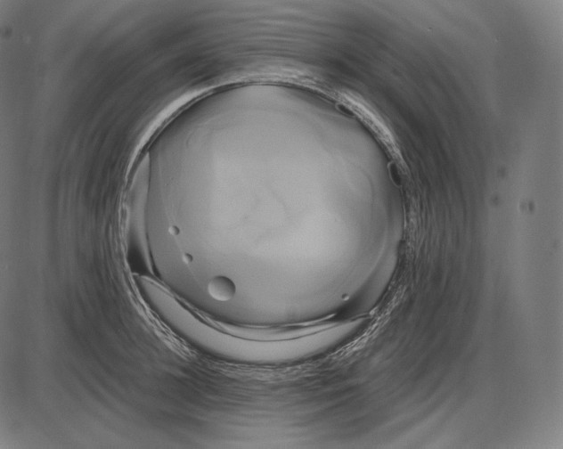 X0000084010948200703161710