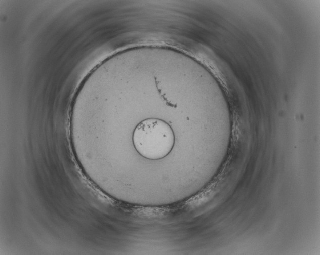 X0000084010950200703161710