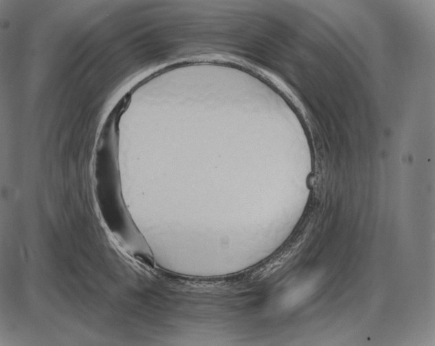 X0000084010951200703161710