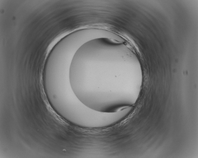 X0000084010952200703161710