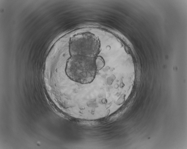 X0000084010953200703161710