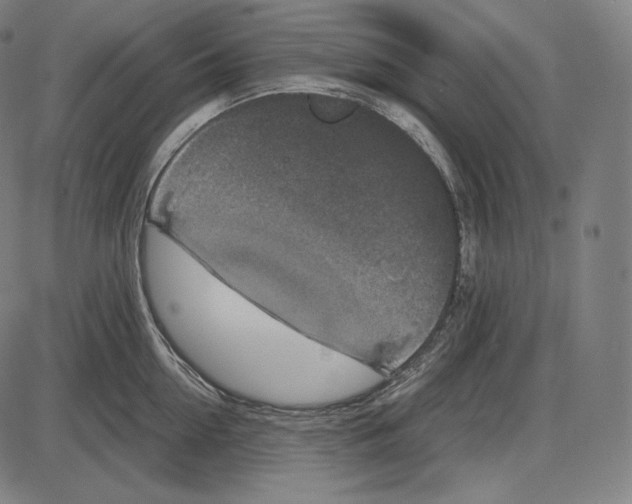 X0000084010954200703161710