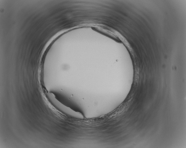 X0000084010955200703161710