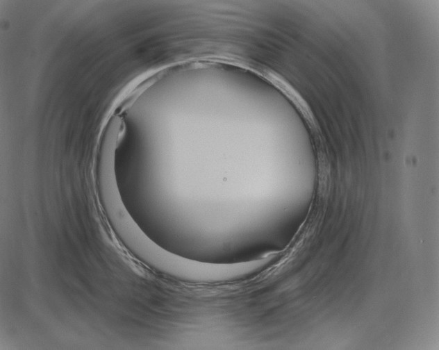 X0000084010956200703161710