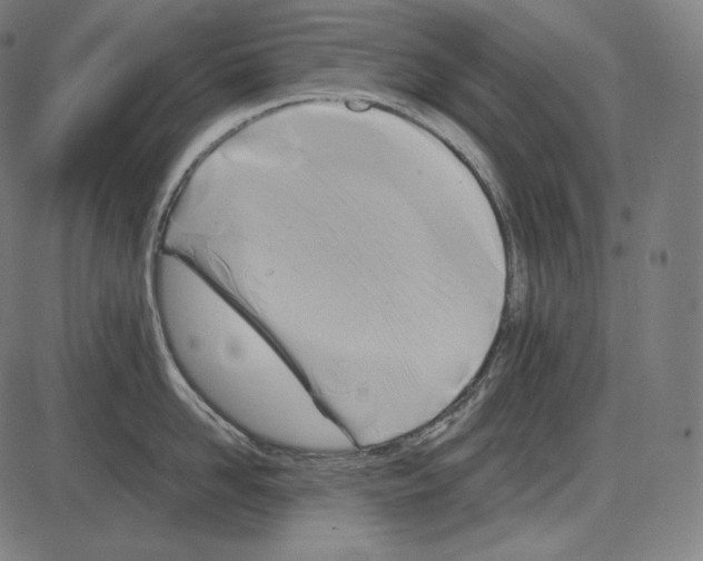 X0000084010958200703161710