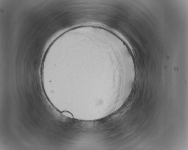 X0000084010959200703161710