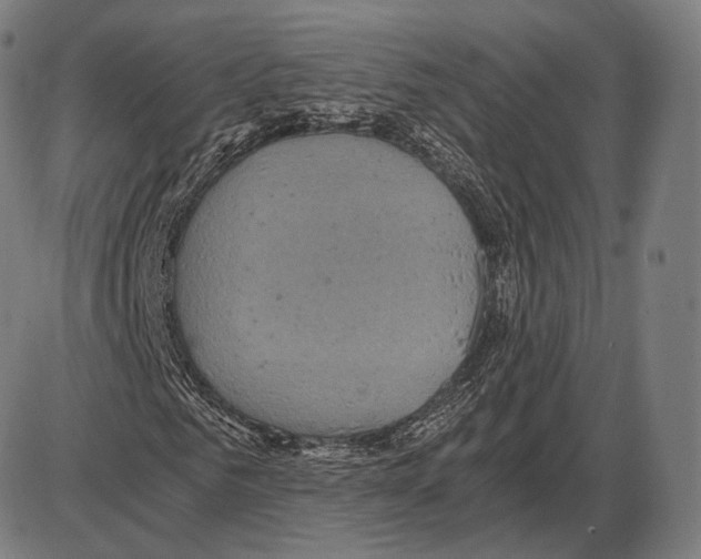 X0000084010961200703161710