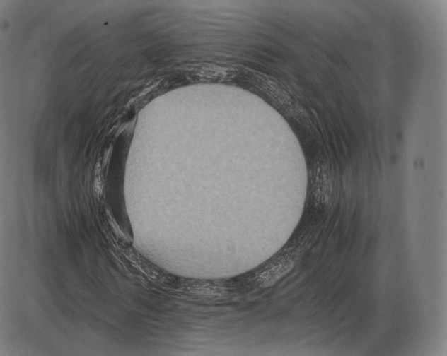 X0000084010962200703161710