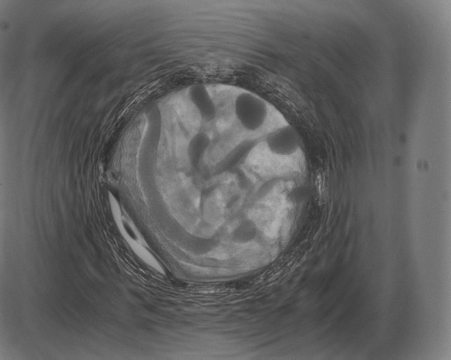 X0000084010963200703161710