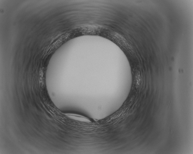 X0000084010964200703161710