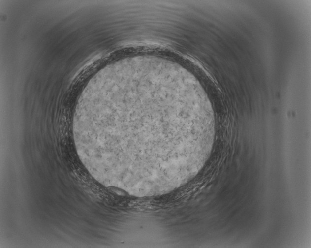 X0000084010967200703161709