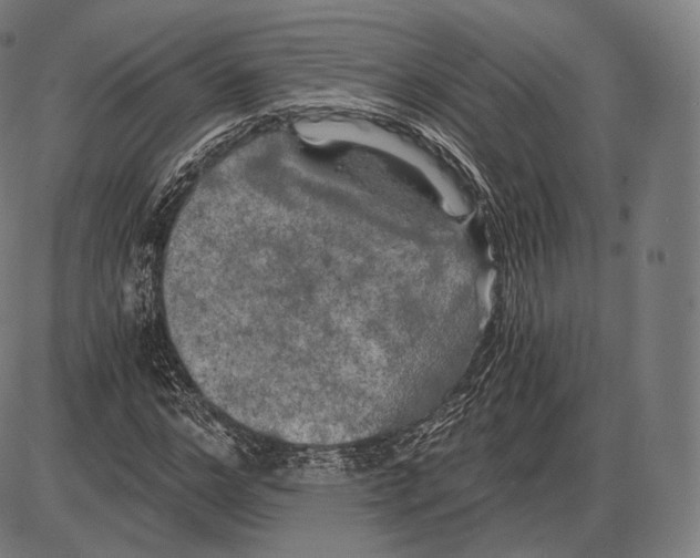 X0000084010968200703161709