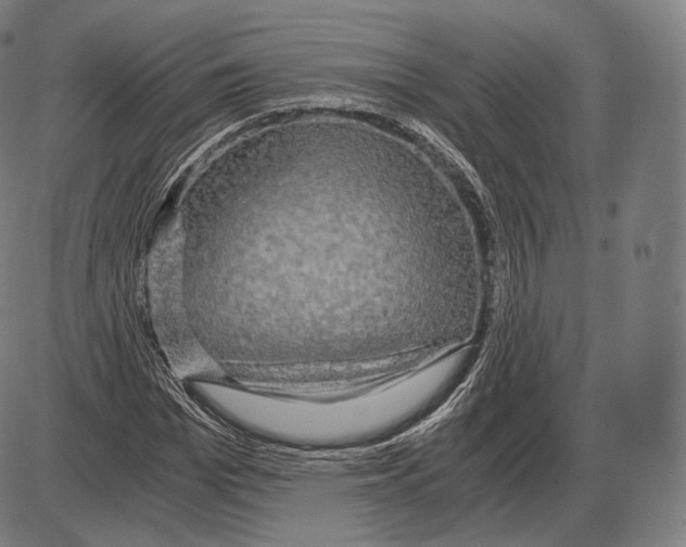 X0000084010969200703161709