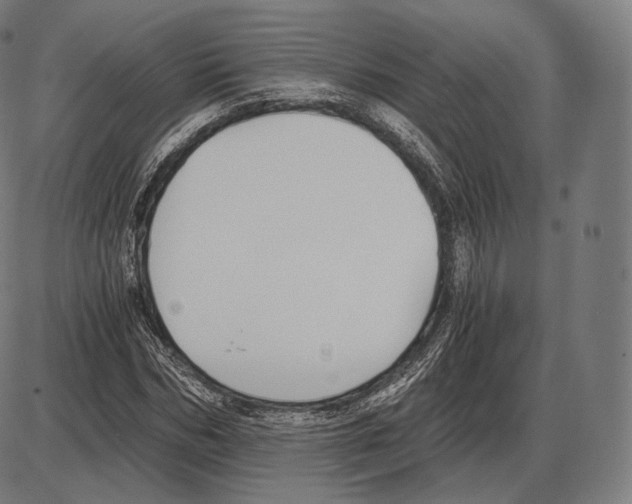 X0000084010970200703161709