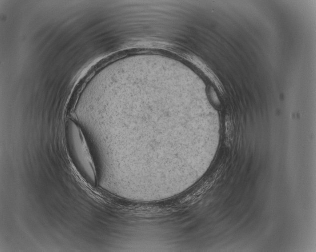 X0000084010972200703161709