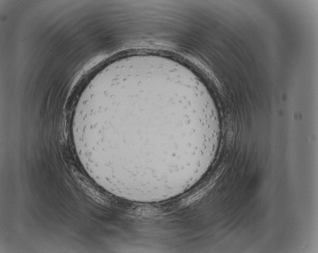 X0000084010974200703161709