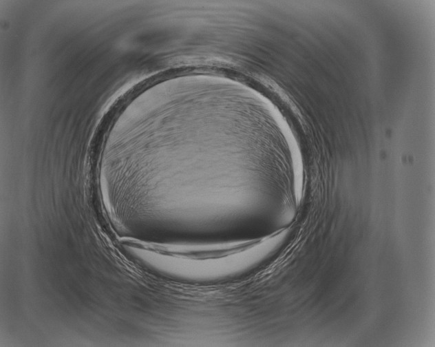 X0000084010975200703161709