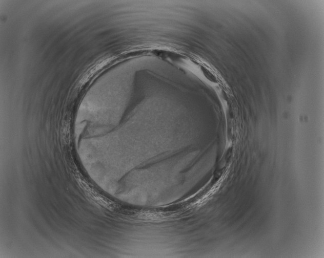 X0000084010977200703161709