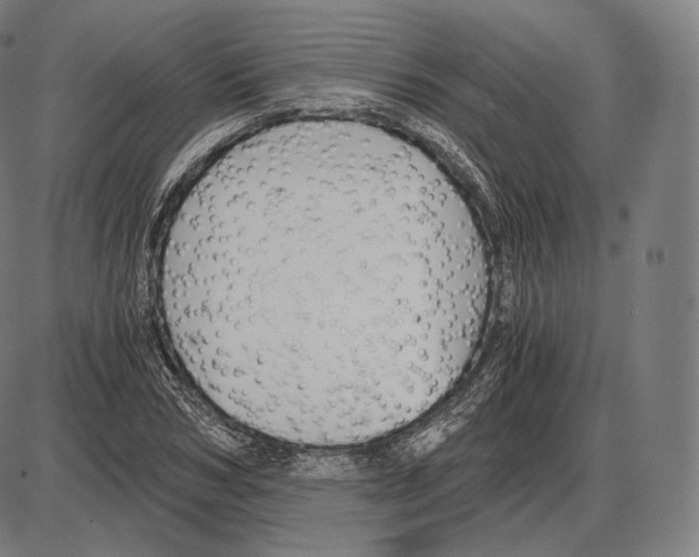 X0000084010978200703161709