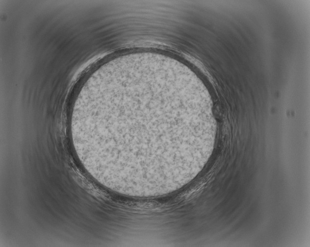 X0000084010979200703161709