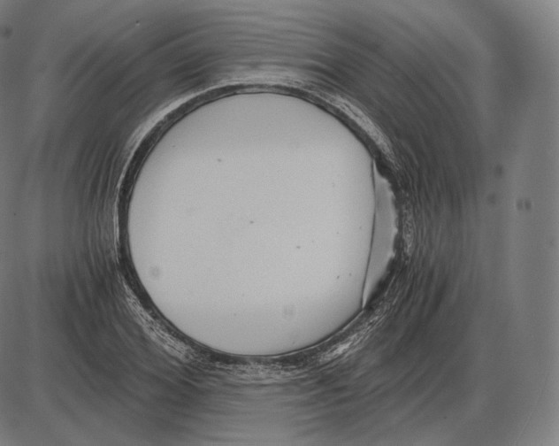 X0000084010980200703161709