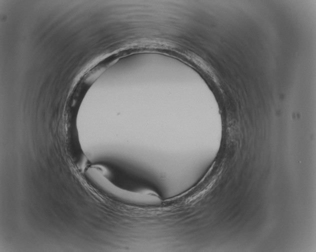 X0000084010981200703161709