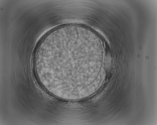 X0000084010983200703161709