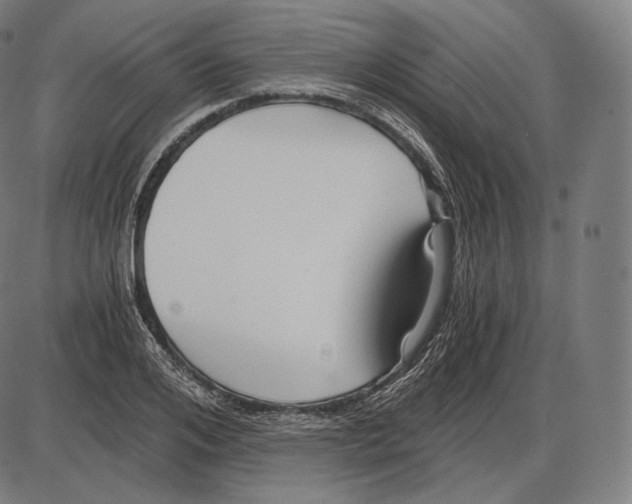 X0000084010984200703161709