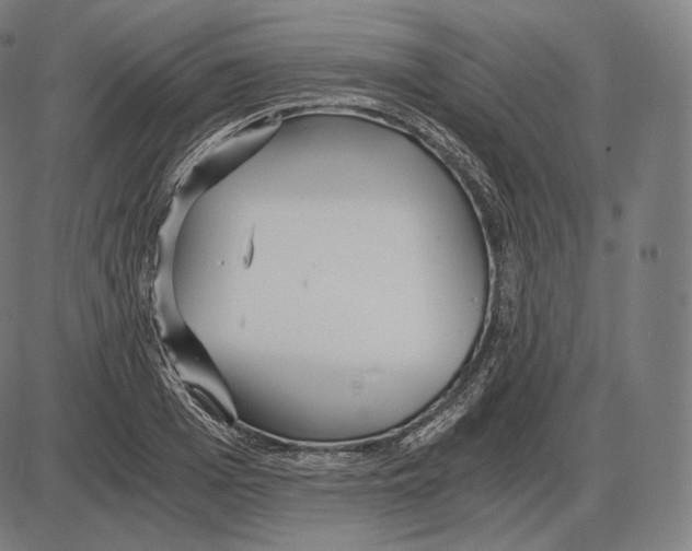 X0000084010985200703161709