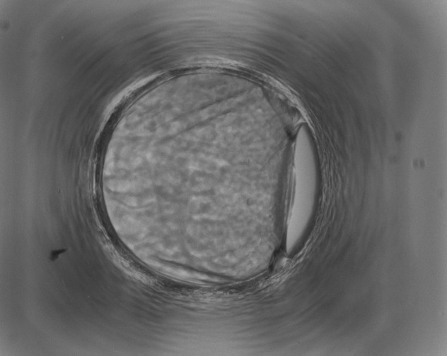 X0000084010987200703161709