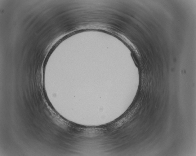 X0000084010988200703161709