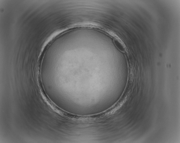 X0000084010989200703161709