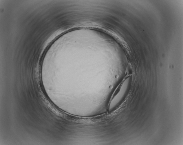 X0000084010990200703161709