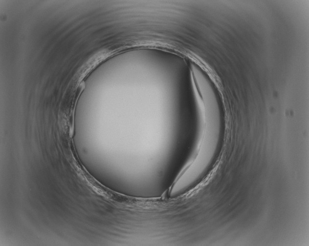 X0000084010993200703161709