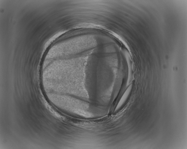 X0000084010995200703161709