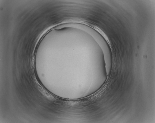 X0000084010996200703161709