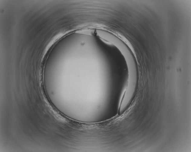 X0000084010997200703161709