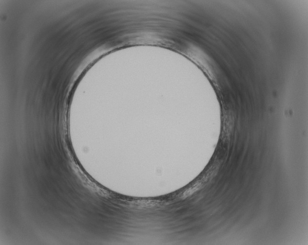 X0000084011000200703161709