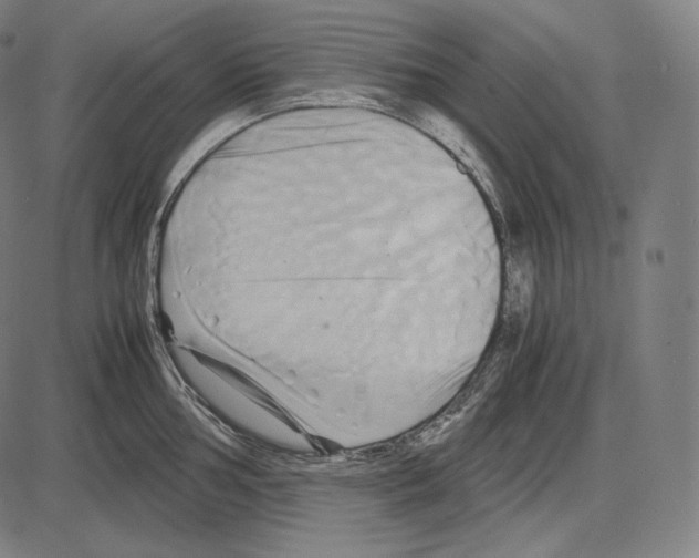 X0000084011002200703161709