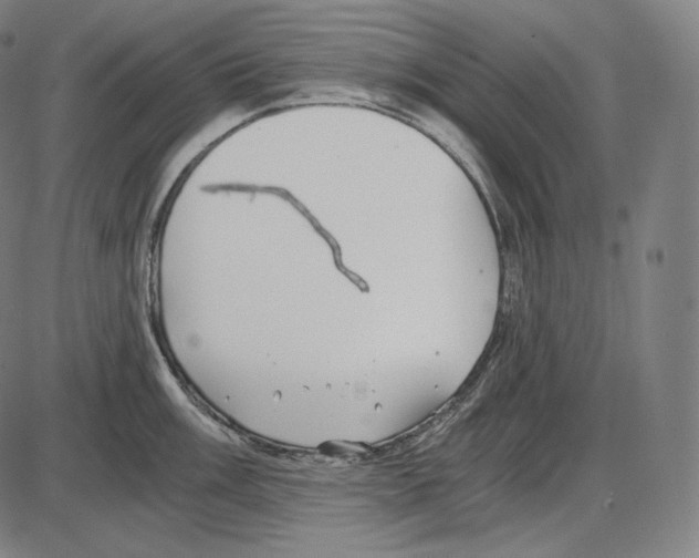 X0000084011003200703161709