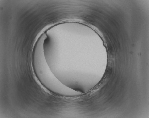 X0000084011005200703161709