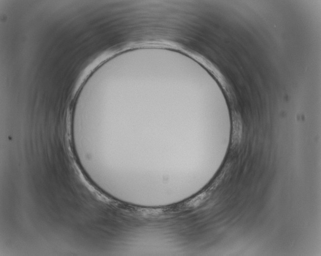 X0000084011006200703161709