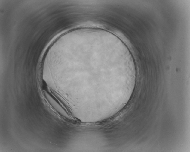 X0000084011008200703161709