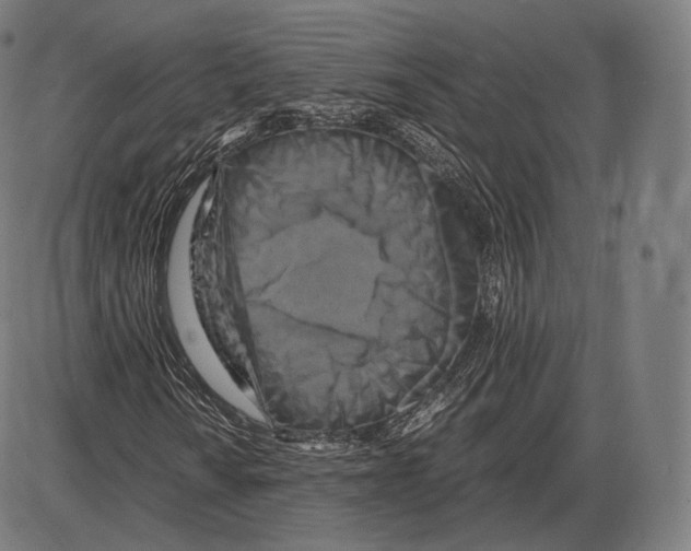 X0000084011010200703161708