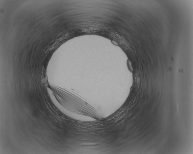 X0000084011012200703161708