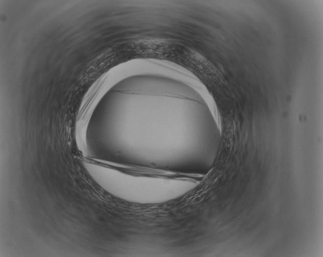 X0000084011013200703161708