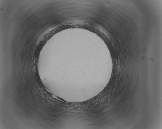 X0000084011016200703161708