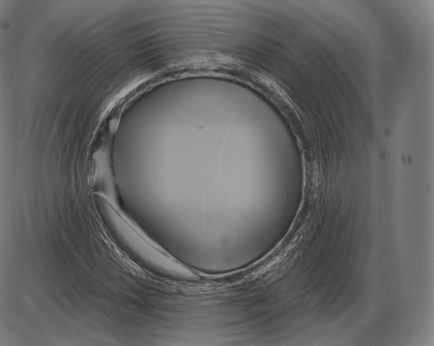 X0000084011018200703161708